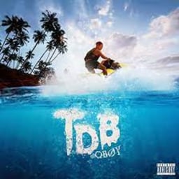 TDB V2's logo